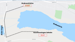 Podwalk: Brabrand Sø