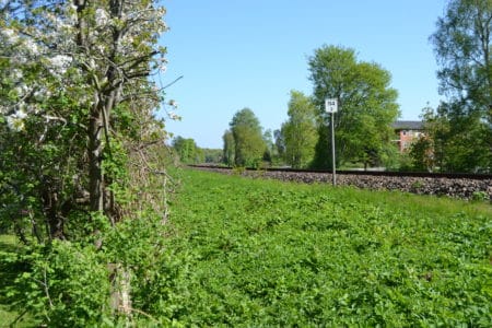 Banedanmark på havebesøg i Brabrand: Træer og buske skal beskæres