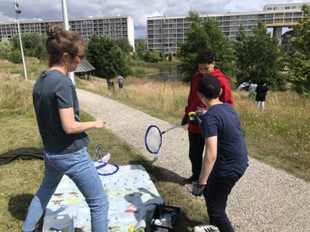 På udkig i Gellerups bypark efter sommerfugle og insekter