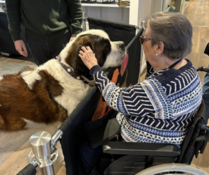 Besøgshunde skabte stor glæde på friplejehjemmet i Gellerup